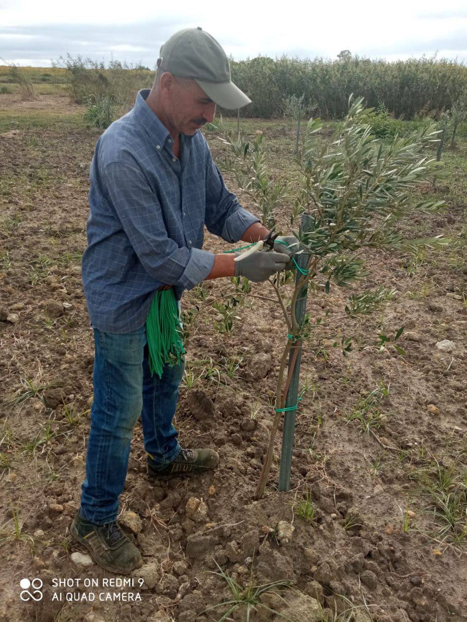 Before AI Enhancement